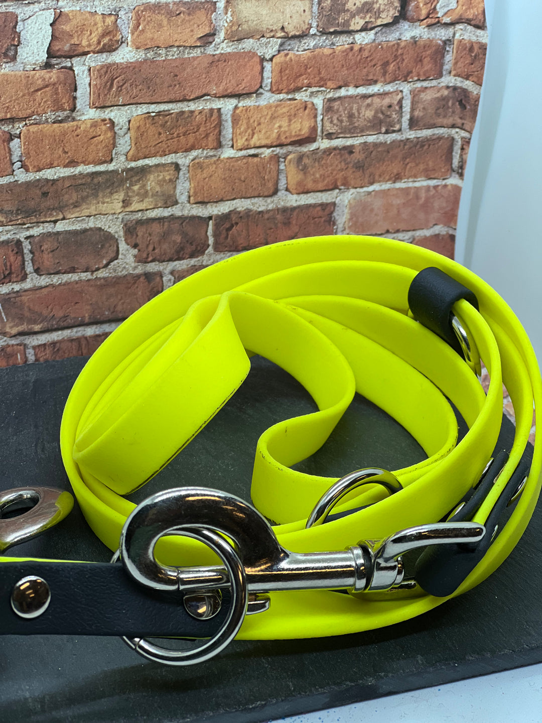 Clearance Pre-made Leashes
